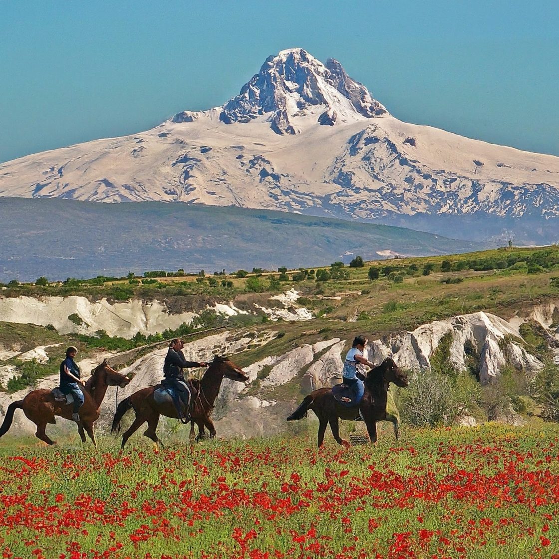 Horseback Riding